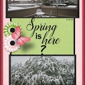 Spring is here?