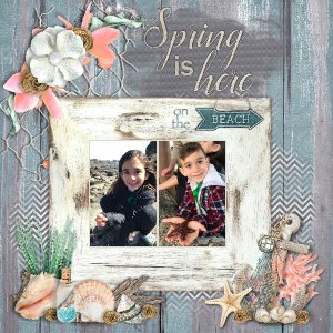 Spring on the Beach