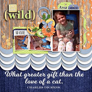 Ava and her kittens