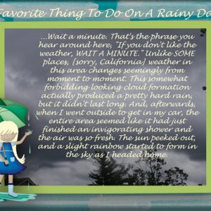 My Favorite Thing To Do On A Rainy Day Is...