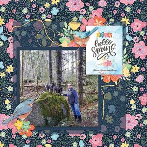 Spring Birds Kit