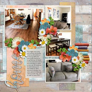 Home Rennovation