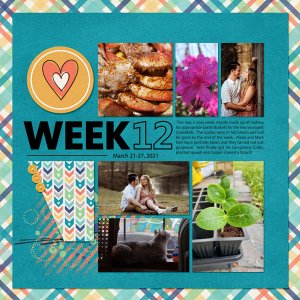 Week 12
