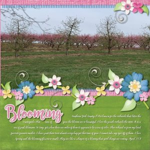 Blooming