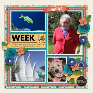 Week 14