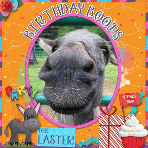 Birthday Boops