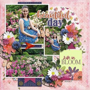 Life in bloom
