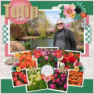 Tulip Festival