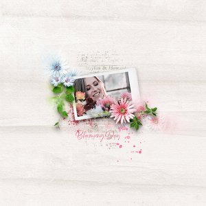 blooming day