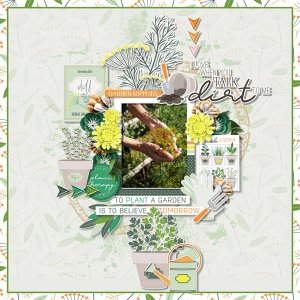 Plant, Water, Grow