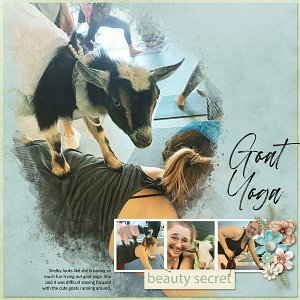 Goat Yoga
