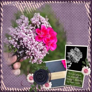 Life In Bloom/Simply Stacked