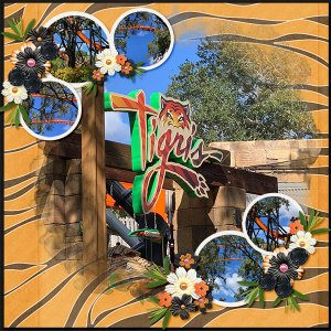 Tigris