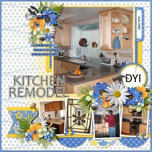 Kitchen Remodel