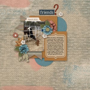 03_Ginger-copy