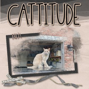 Cattitude mask challenge