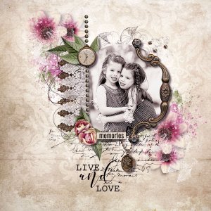 Life time Storys