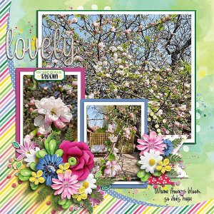 Life in full bloom