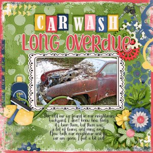 Car-wash-long-overdue
