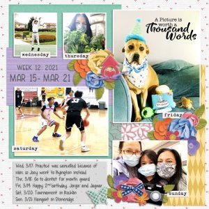 P2021 Week 12