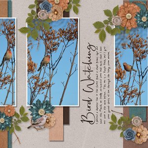 iNSD 2021 Template Challenge