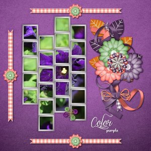 Color Purple