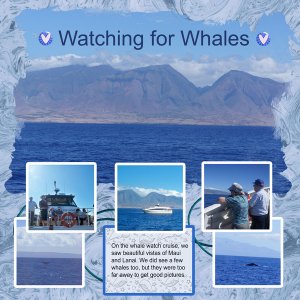 Watching for Whales