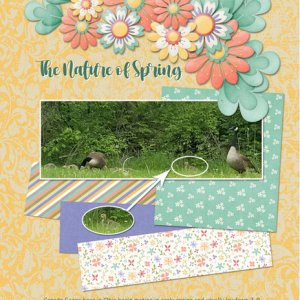 The Nature of Spring
