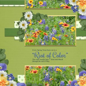 "Riot of Color"