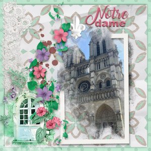 Notre-dame4