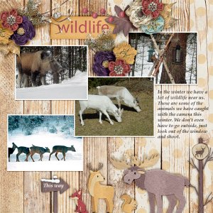 Wildlife4