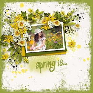 Spring Is