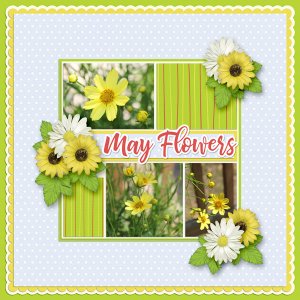 May Flowers