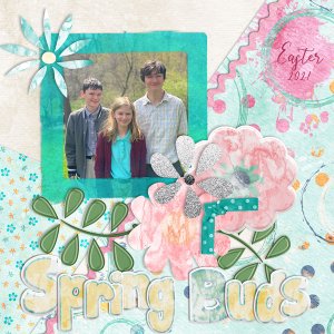 Spring Buds