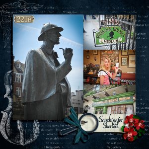 Searching for Sherlock