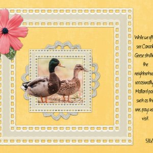 May 2021 Mini Kit Challenge