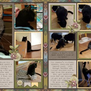 Shadow's 2nd Birthday