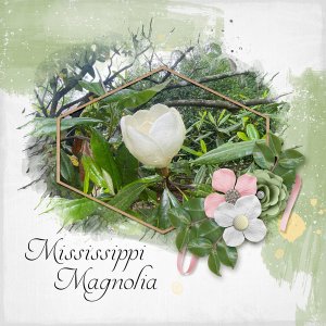Mississippi Magnolia