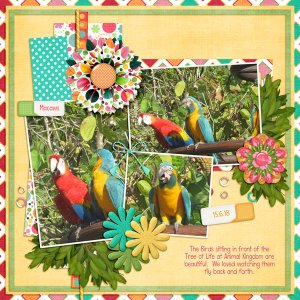 The Macaws of Disney
