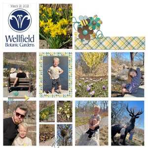 Wellfield Botanic Garden 3-21-21 Page 1