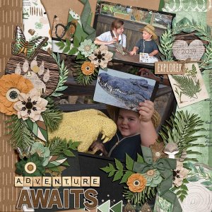 Adventure Awaits