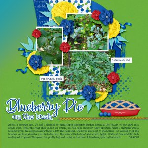 Blueberry Pie on the Bush