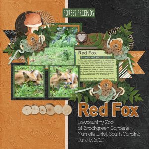 Red Fox