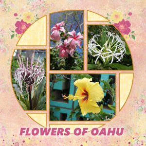 Flowers of Oahu