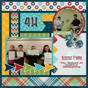 4H Awards