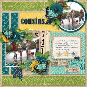 Cousins