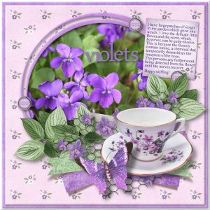 Violets