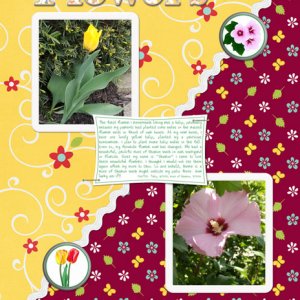 Flowers
