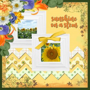 sunshine on a stem