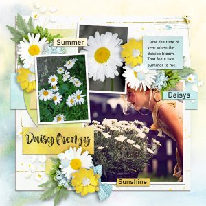 Daisy-frenzy